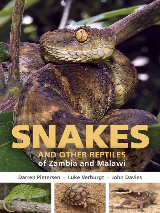 Title details for Snakes and other Reptiles of Zambia and Malawi by Darren Pietersen - Available